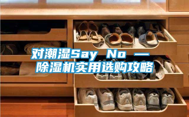 对潮湿Say No — 除湿机实用选购攻略