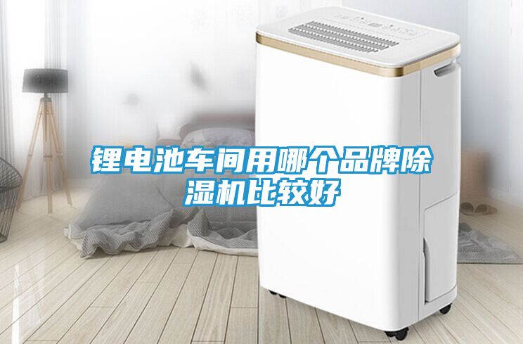 锂电池车间用哪个品牌除湿机比较好