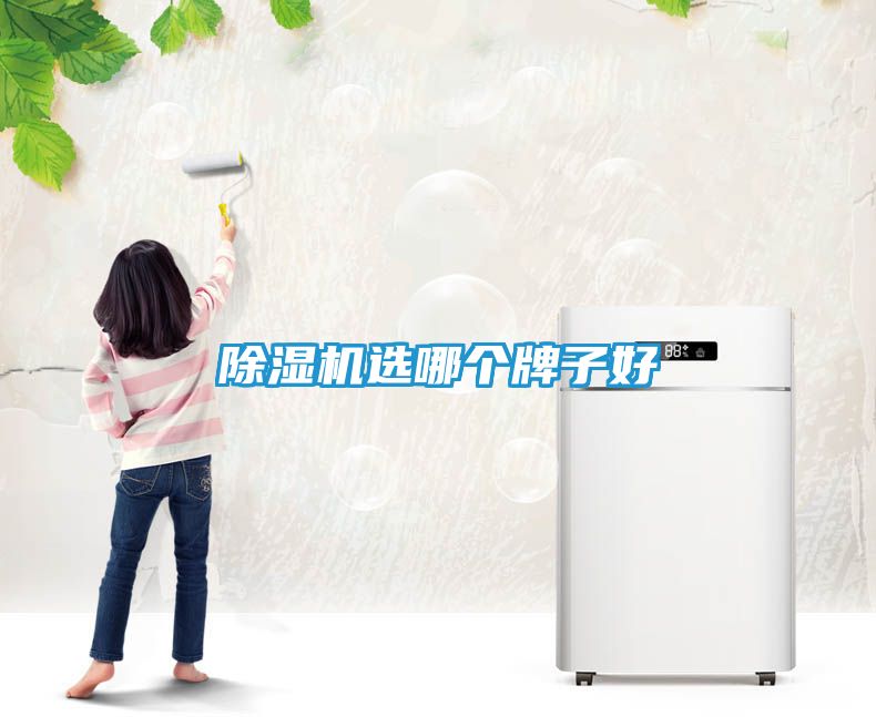 除湿机选哪个牌子好