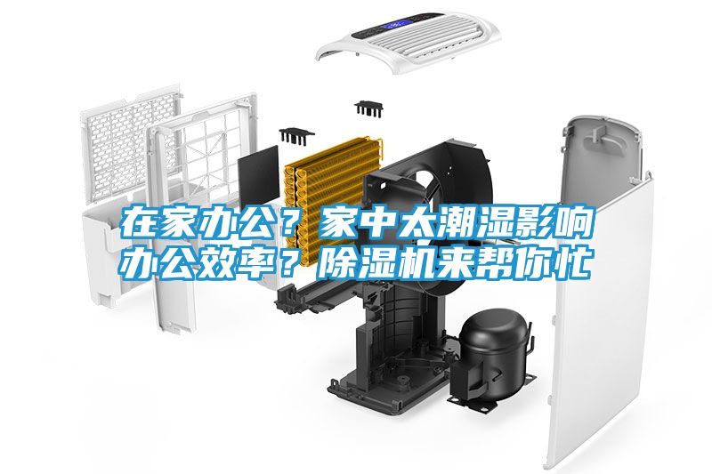 在家办公？家中太潮湿影响办公效率？除湿机来帮你忙