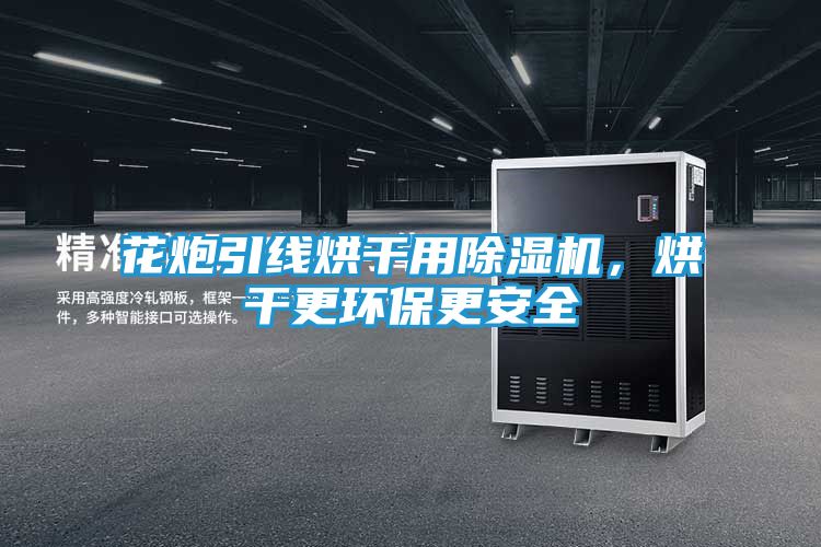 花炮引线烘干用除湿机，烘干更环保更安全