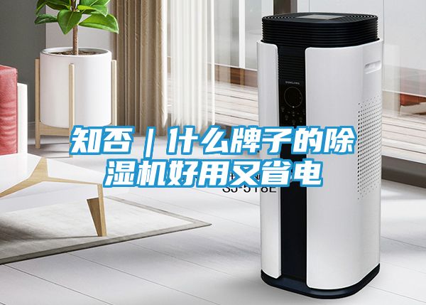 知否｜什么牌子的除湿机好用又省电