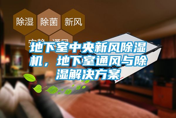 地下室中央新风除湿机，地下室通风与除湿解决方案
