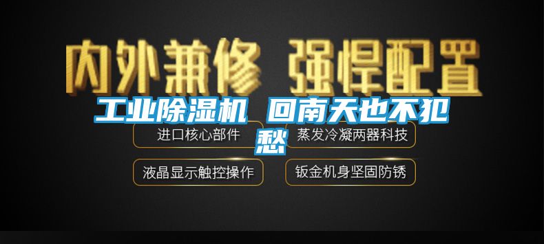 工业除湿机 回南天也不犯愁
