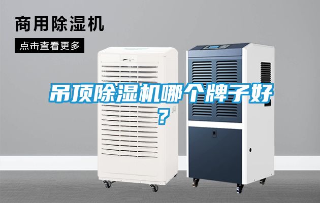 吊顶除湿机哪个牌子好？