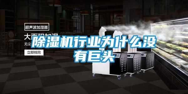 除湿机行业为什么没有巨头