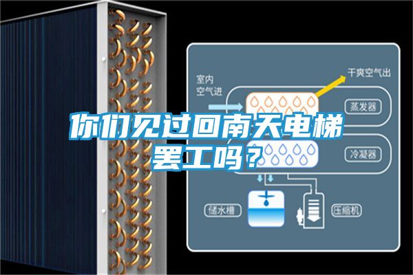 你们见过回南天电梯罢工吗？