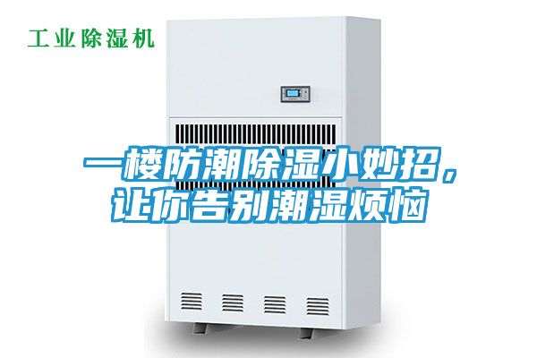 一楼防潮除湿小妙招，让你告别潮湿烦恼