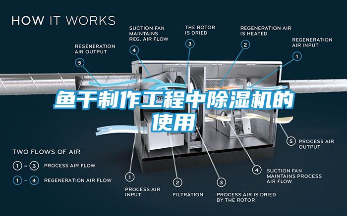 鱼干制作工程中除湿机的使用