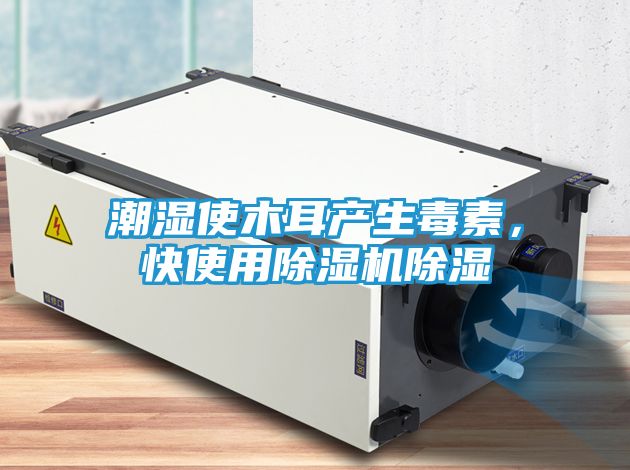 潮湿使木耳产生毒素，快使用除湿机除湿