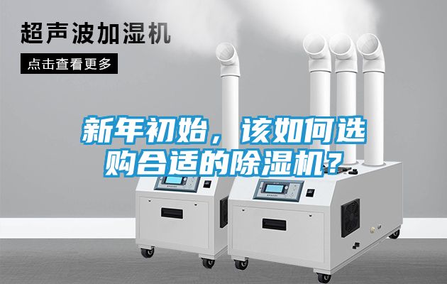 新年初始，该如何选购合适的除湿机？