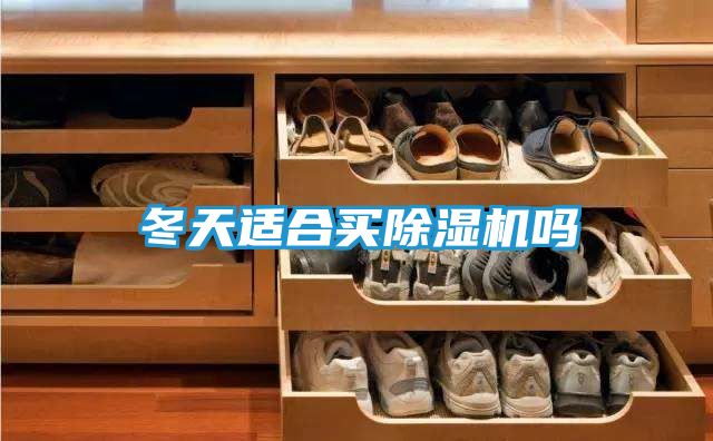 冬天适合买除湿机吗