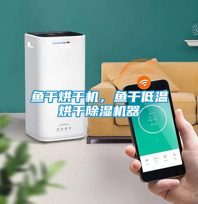 鱼干烘干机，鱼干低温烘干除湿机器