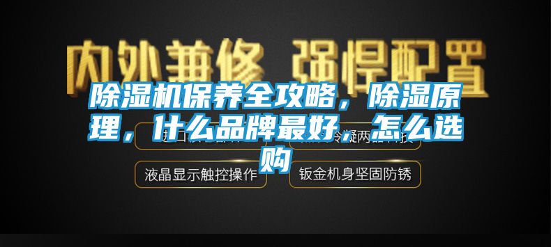 除湿机保养全攻略，除湿原理，什么品牌最好，怎么选购
