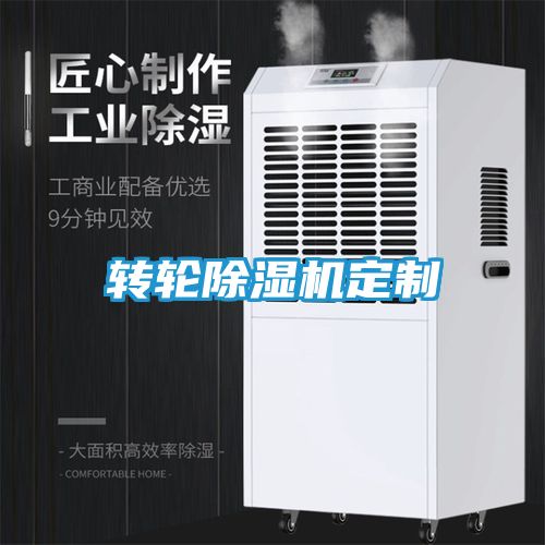 转轮除湿机定制