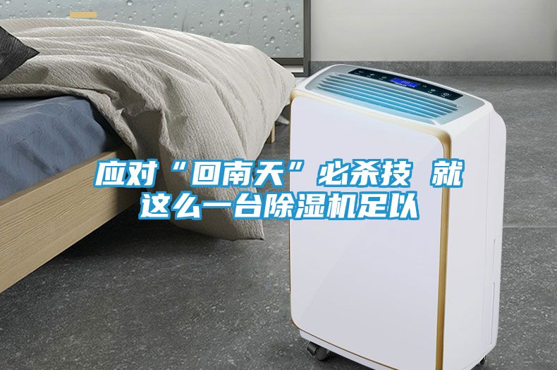 应对“回南天”必杀技 就这么一台除湿机足以