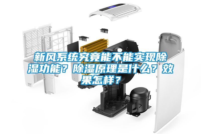 新风系统究竟能不能实现除湿功能？除湿原理是什么？效果怎样？