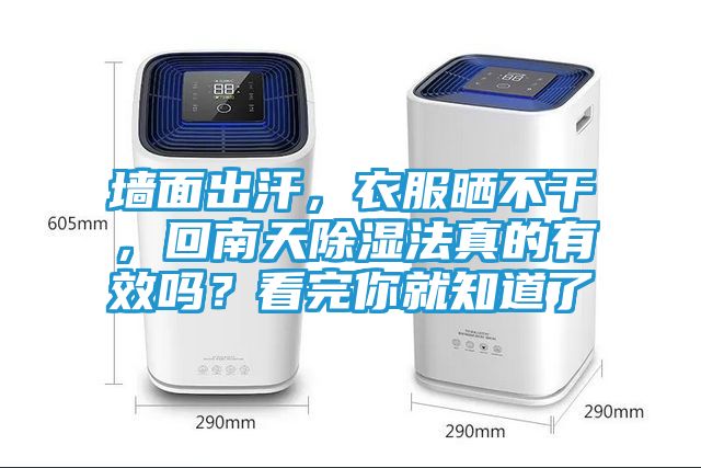 墙面出汗，衣服晒不干，回南天除湿法真的有效吗？看完你就知道了