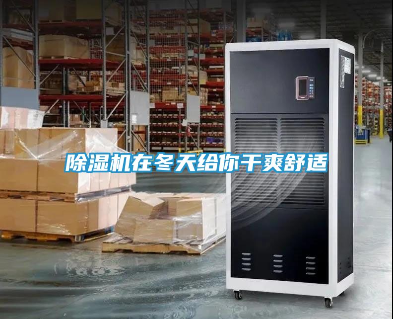 除湿机在冬天给你干爽舒适