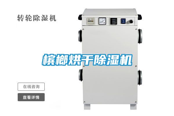 槟榔烘干除湿机