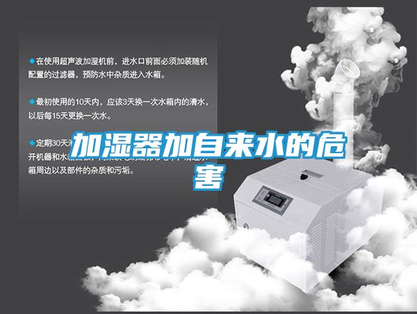 加湿器加自来水的危害