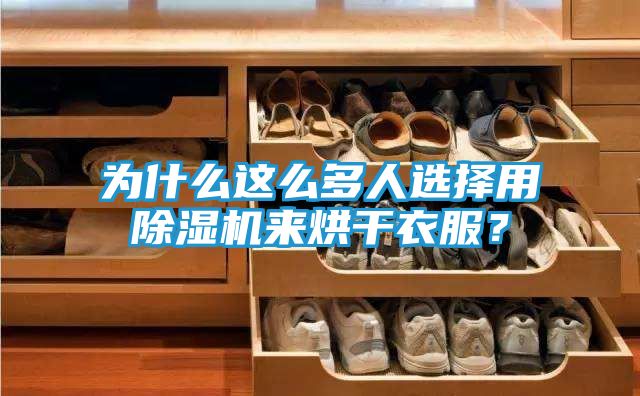为什么这么多人选择用除湿机来烘干衣服？