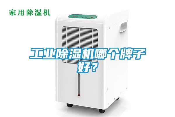 工业除湿机哪个牌子好？