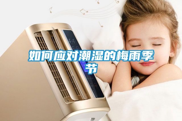 如何应对潮湿的梅雨季节