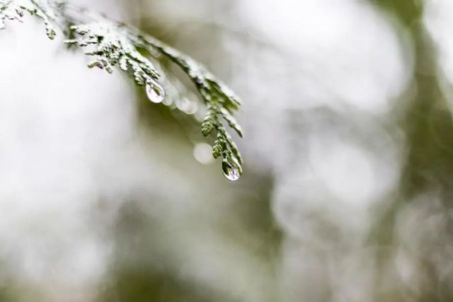 空气湿度大带来的危害有哪些,你知道吗?