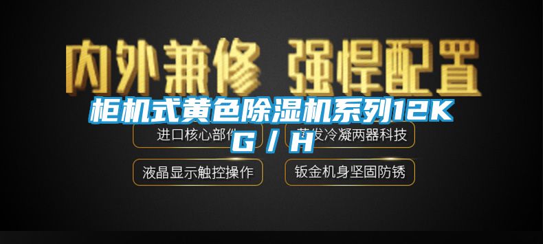 柜机式黄色除湿机系列12KG／H