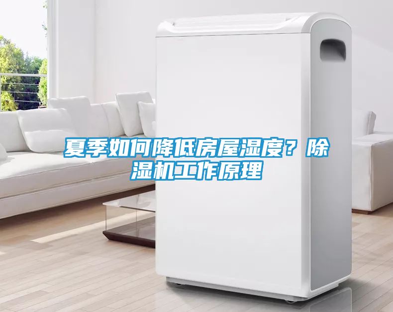 夏季如何降低房屋湿度？除湿机工作原理