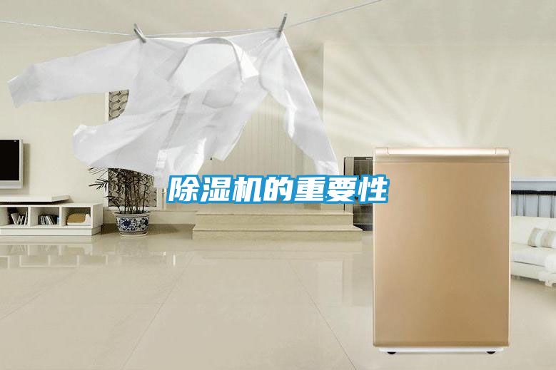 除湿机的重要性