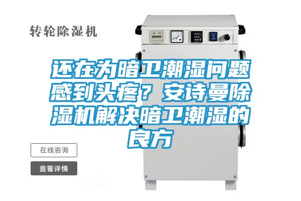 还在为暗卫潮湿问题感到头疼？安诗曼除湿机解决暗卫潮湿的良方