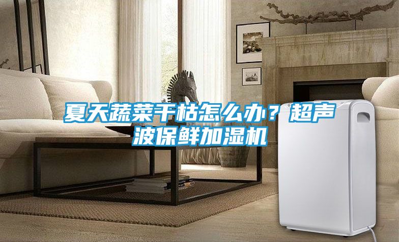 夏天蔬菜干枯怎么办？超声波保鲜加湿机