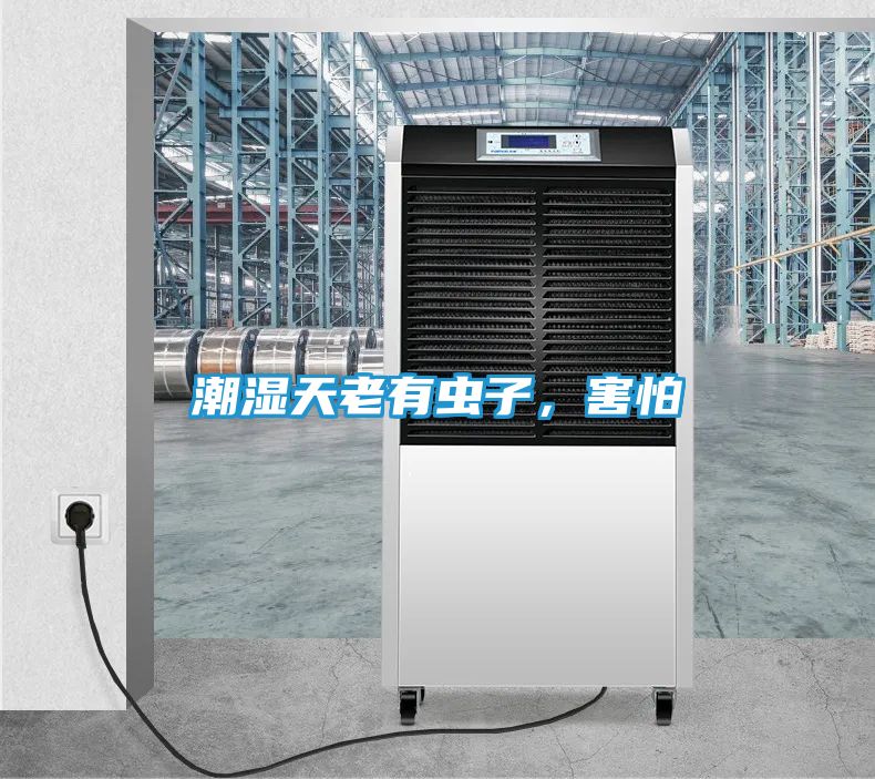 潮湿天老有虫子，害怕