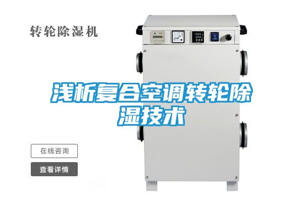 浅析复合空调转轮除湿技术