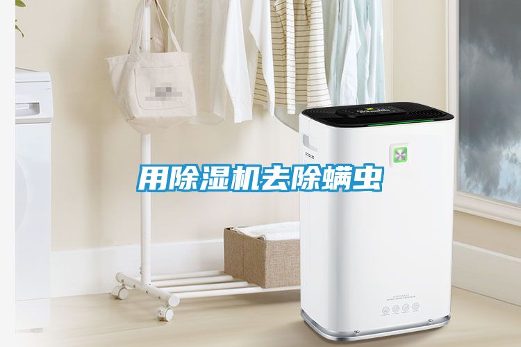 用除湿机去除螨虫
