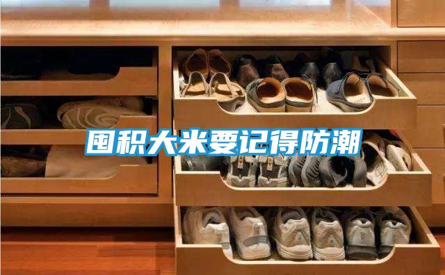 囤积大米要记得防潮