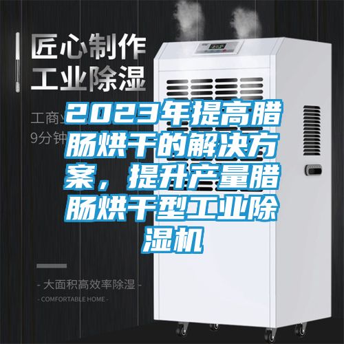 2023年提高腊肠烘干的解决方案，提升产量腊肠烘干型工业除湿机