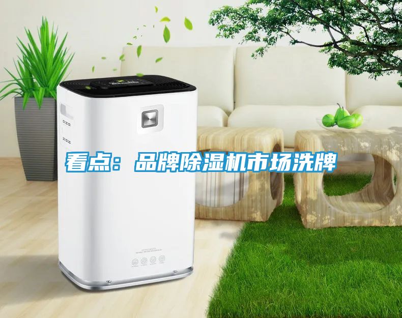 看点：品牌除湿机市场洗牌