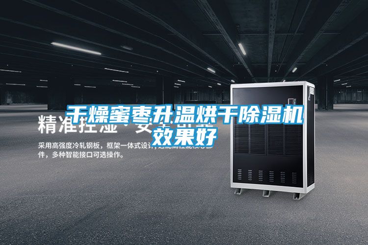 干燥蜜枣升温烘干除湿机效果好