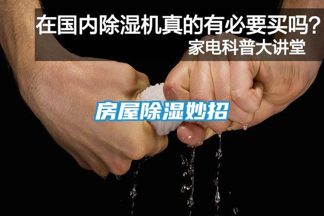 房屋除湿妙招