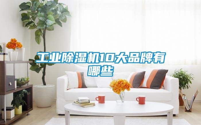 工业除湿机10大品牌有哪些