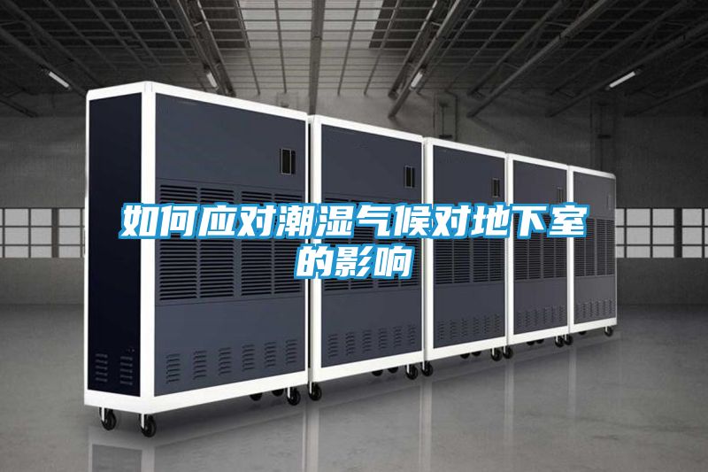 如何应对潮湿气候对地下室的影响