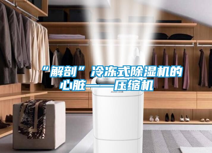 “解剖”冷冻式除湿机的心脏——压缩机