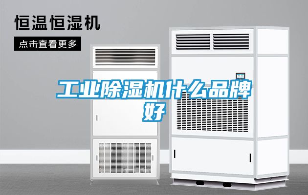 工业除湿机什么品牌好