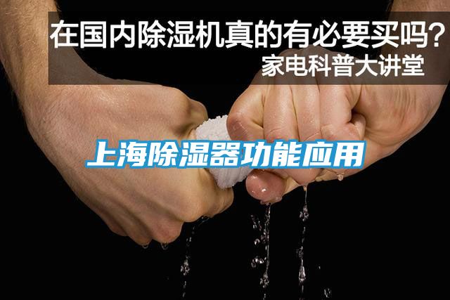 上海除湿器功能应用