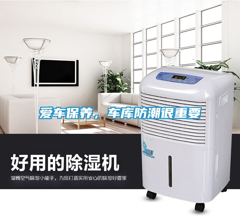 爱车保养，车库防潮很重要