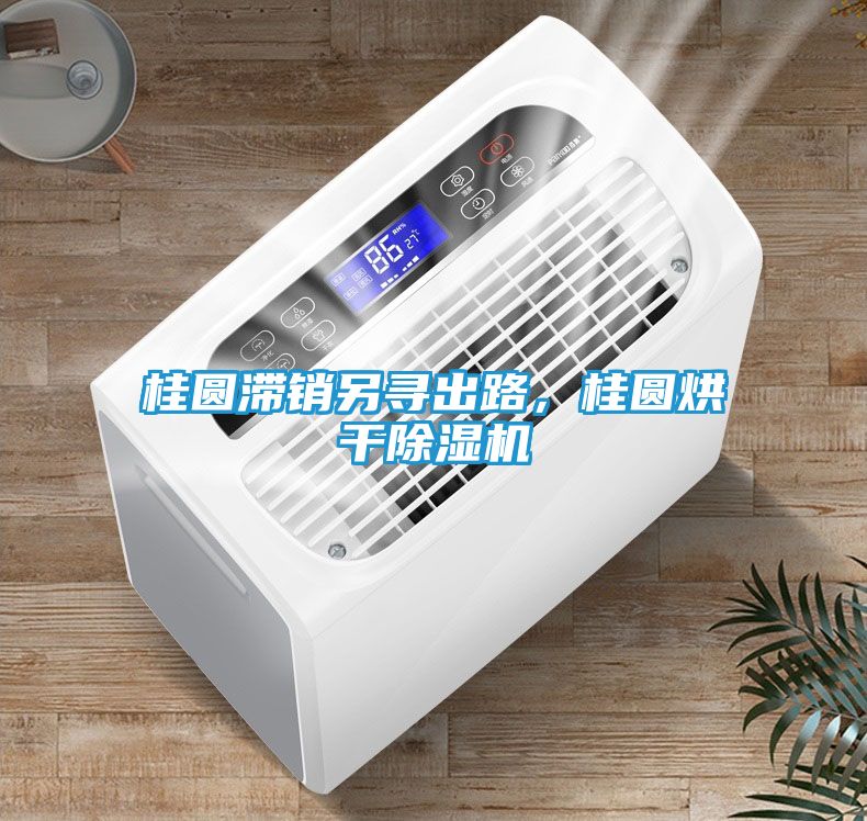 桂圆滞销另寻出路，桂圆烘干除湿机