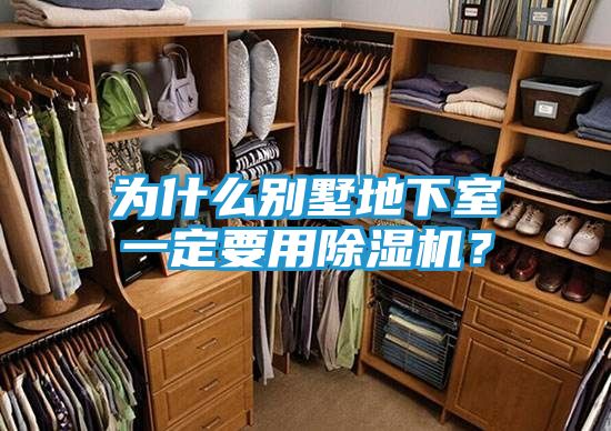 为什么别墅地下室一定要用除湿机？